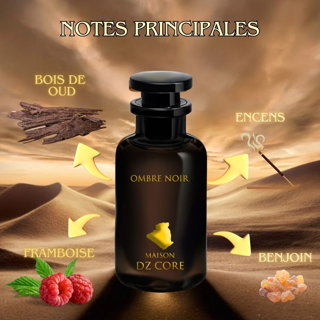 Ombre Noir Maison Dz Core 100ML